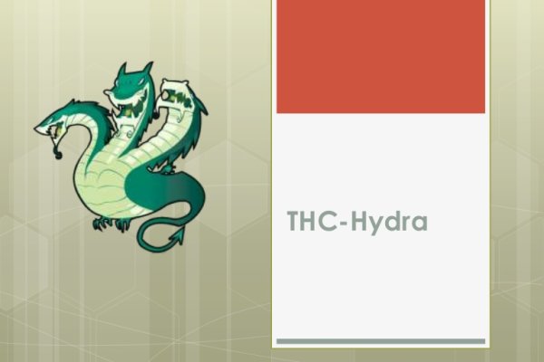 Http kraken onion