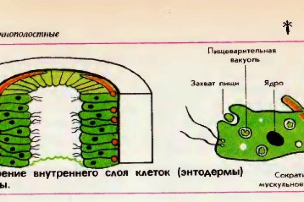 Кракен актуальная ссылка тор