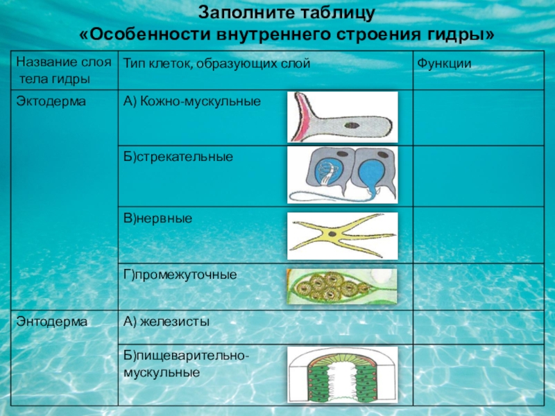 Кракен даркнет купить